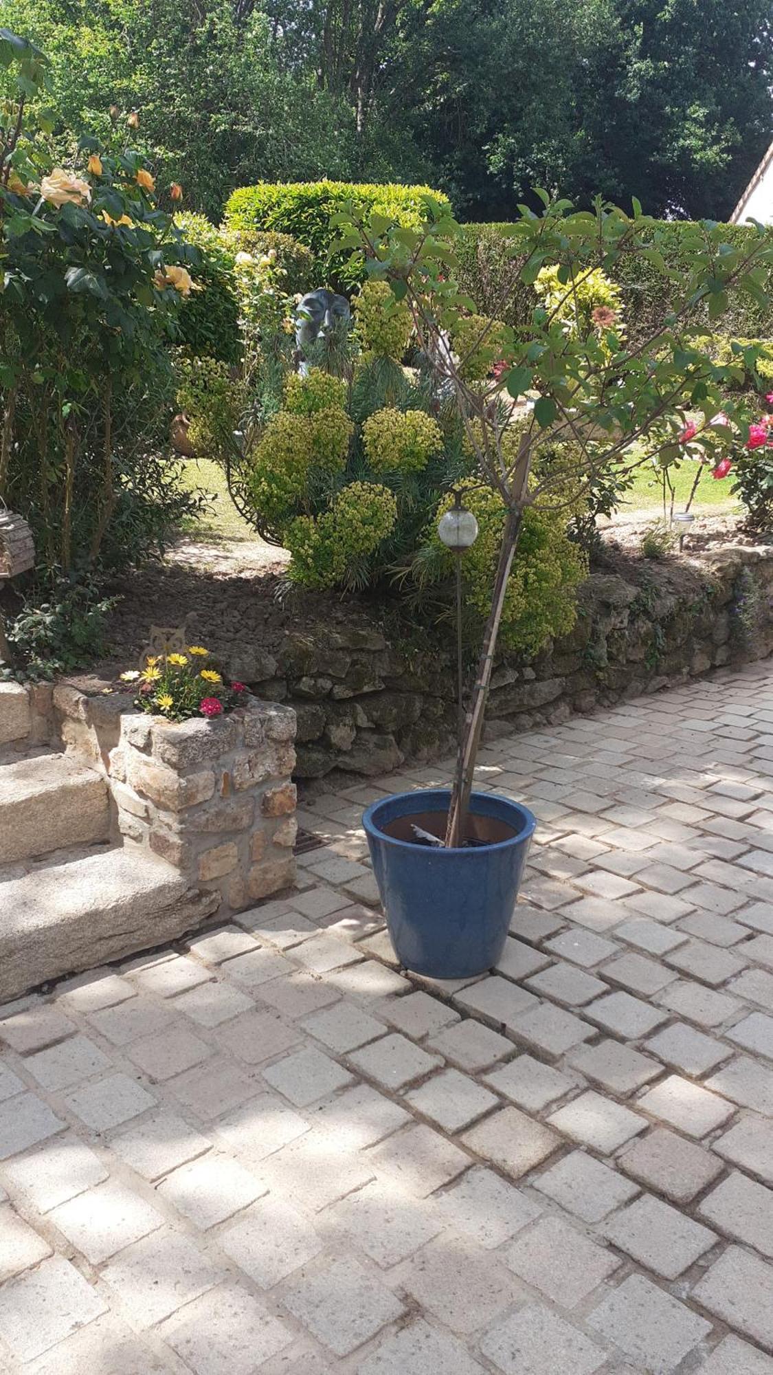 7 , Le Haut Montraye Pace  Exterior photo